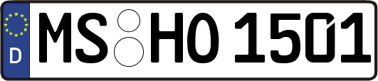 MS-HO1501