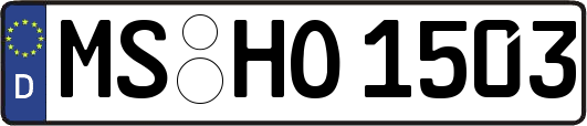 MS-HO1503