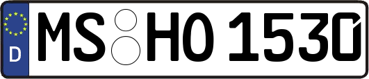 MS-HO1530