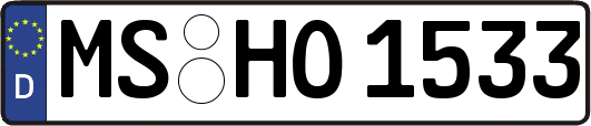 MS-HO1533