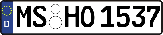MS-HO1537