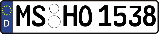 MS-HO1538