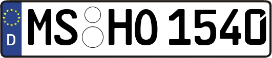 MS-HO1540