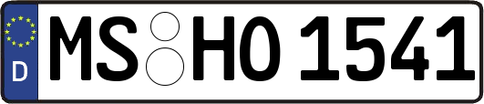 MS-HO1541