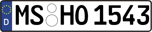 MS-HO1543