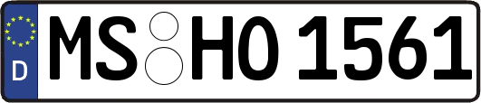 MS-HO1561