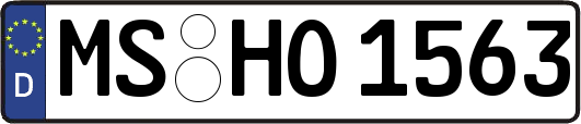 MS-HO1563