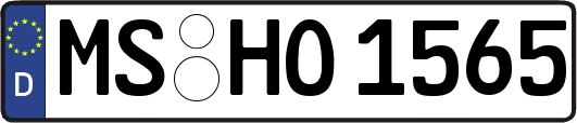 MS-HO1565