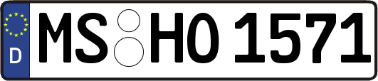 MS-HO1571