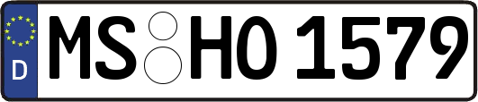 MS-HO1579