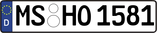 MS-HO1581