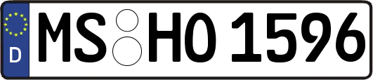 MS-HO1596