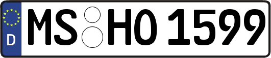 MS-HO1599