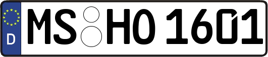 MS-HO1601