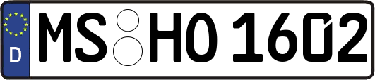 MS-HO1602