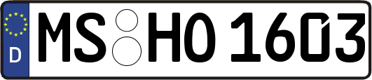 MS-HO1603