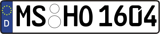 MS-HO1604