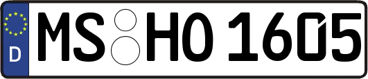 MS-HO1605