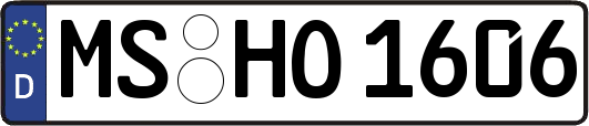 MS-HO1606