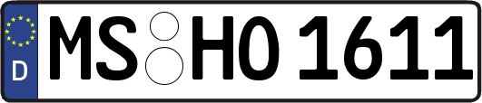 MS-HO1611