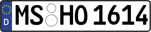 MS-HO1614