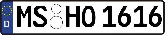 MS-HO1616