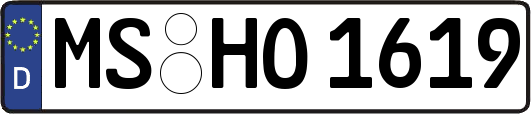 MS-HO1619
