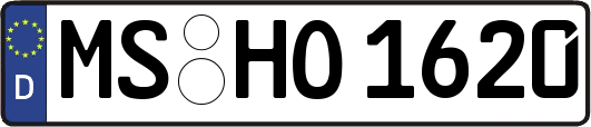 MS-HO1620