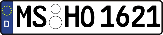 MS-HO1621
