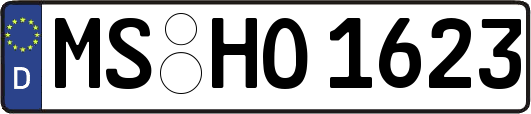 MS-HO1623