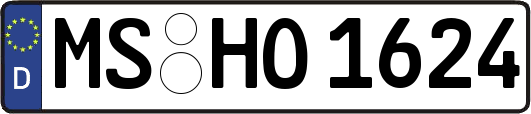 MS-HO1624