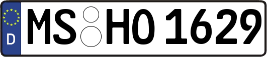MS-HO1629