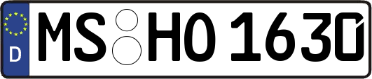 MS-HO1630