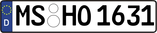 MS-HO1631