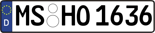 MS-HO1636