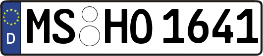 MS-HO1641