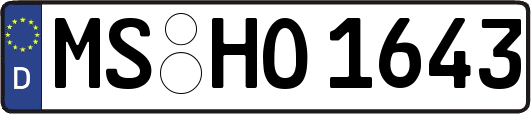 MS-HO1643
