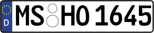 MS-HO1645