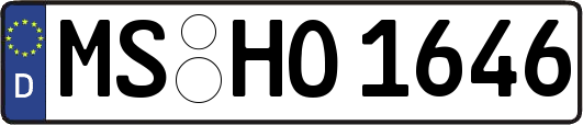 MS-HO1646