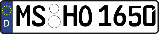 MS-HO1650