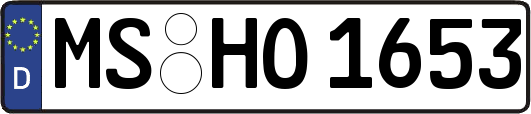 MS-HO1653