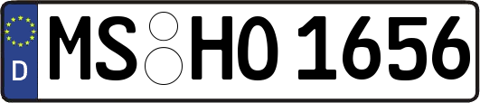 MS-HO1656