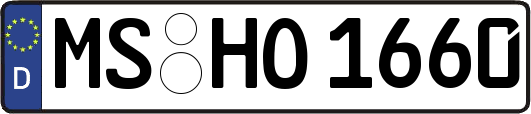MS-HO1660