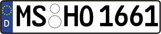 MS-HO1661