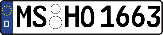 MS-HO1663