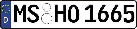 MS-HO1665