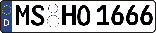 MS-HO1666
