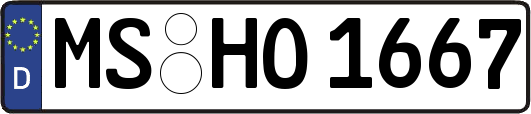 MS-HO1667