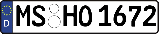 MS-HO1672