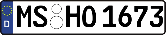 MS-HO1673